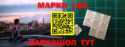 индика Пугачёв