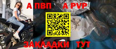 индика Пугачёв