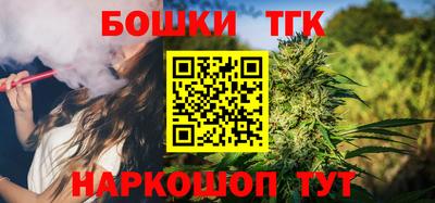 индика Пугачёв